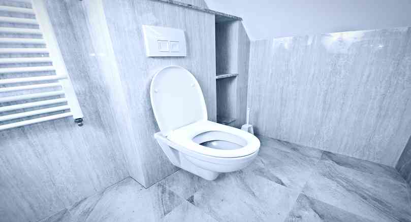 Service Provider of Western Toilet Wall Mounted in New Delhi, Delhi, India
